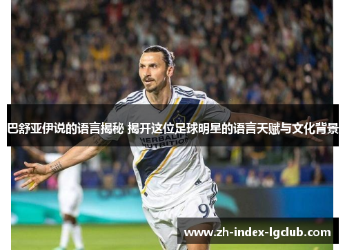 巴舒亚伊说的语言揭秘 揭开这位足球明星的语言天赋与文化背景
