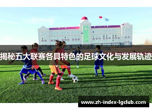 揭秘五大联赛各具特色的足球文化与发展轨迹