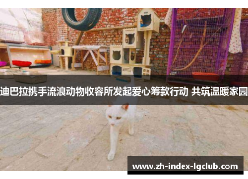 迪巴拉携手流浪动物收容所发起爱心筹款行动 共筑温暖家园 迪巴拉携手流浪动物收容所发起爱心筹款行动 共筑温暖家园