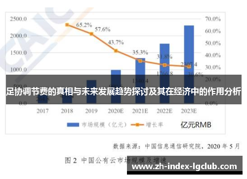 足协调节费的真相与未来发展趋势探讨及其在经济中的作用分析 足协调节费的真相与未来发展趋势探讨及其在经济中的作用分析